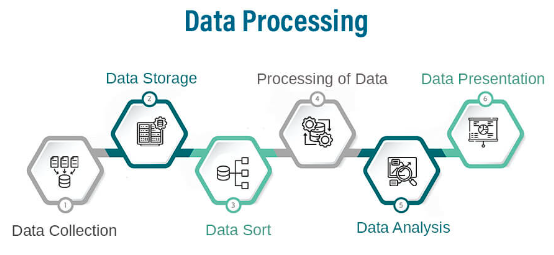 Data Collection & Processing
